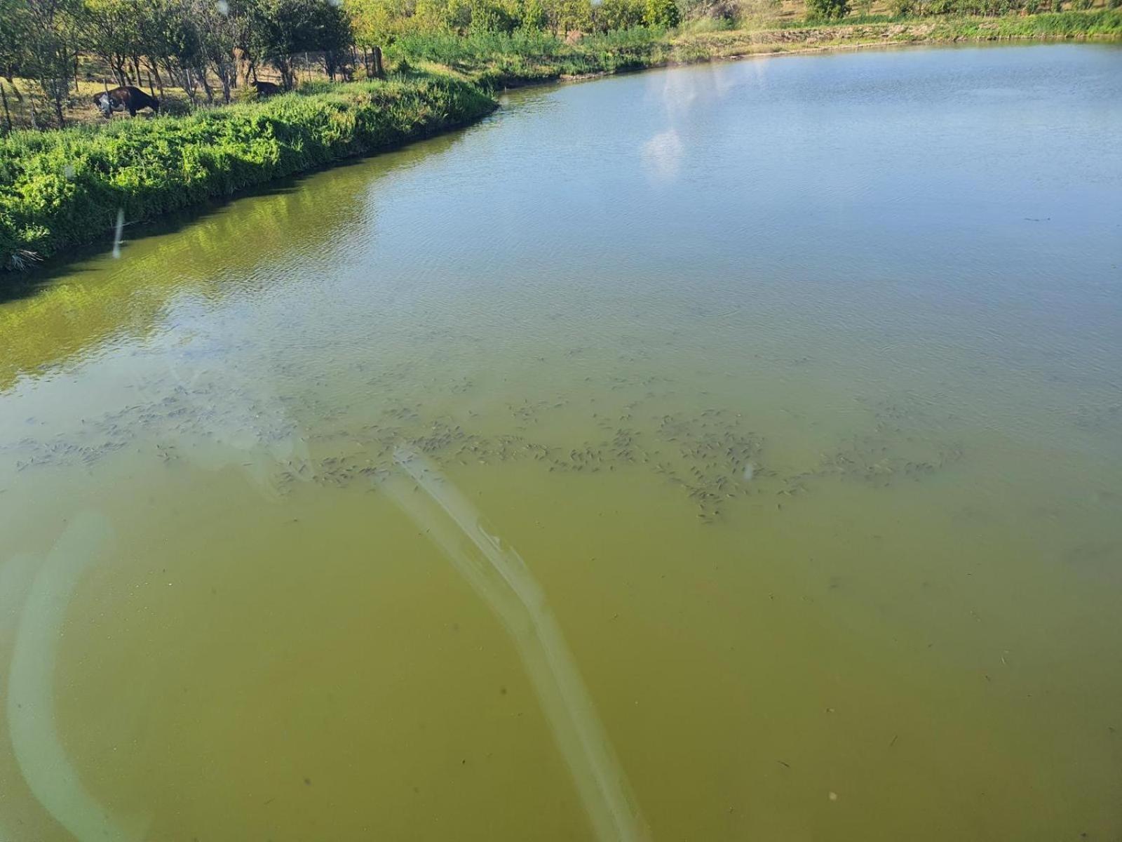 Mountain Lake Jbs Ξενοδοχείο Φωξάνη Εξωτερικό φωτογραφία